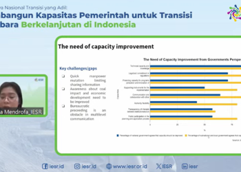 Mendorong Kapasitas Institusi Pemerintah Pusat dan Daerah untuk Transisi Berkeadilan
