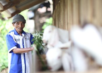 Pertamina Geothermal Energy Konsisten Dukung Pelestarian Lingkungan di Wilayah Operasionalnya