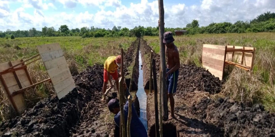 Program Padat Karya Tunai Sumber Daya Air Serap Lebih dari 250 Ribu Pekerja
