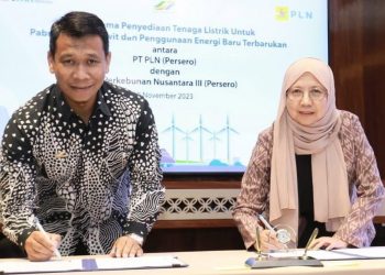 PLN Siap Pasok Listrik Hijau ke PTPN III dan Alfamidi