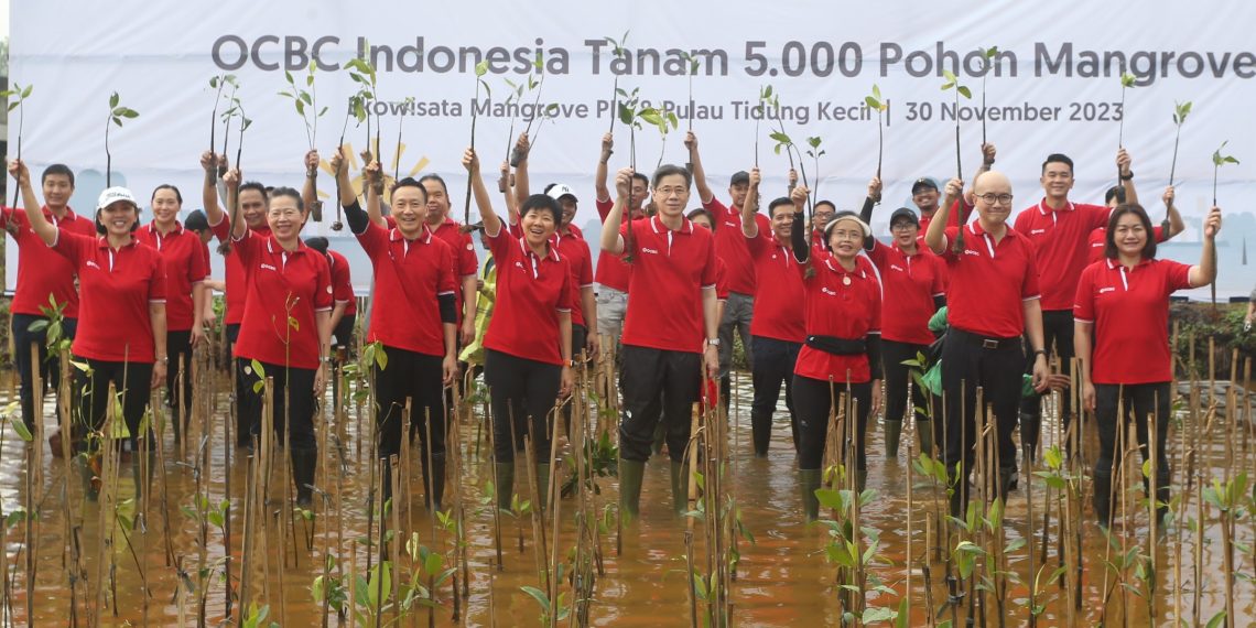 5.000 Mangrove akan Ditanam di PIK oleh Bank Ini