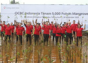 5.000 Mangrove akan Ditanam di PIK oleh Bank Ini