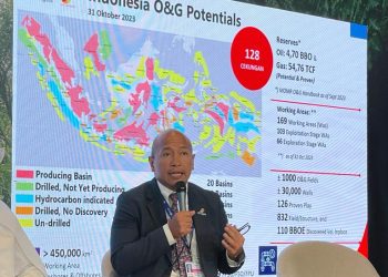 Hudi D Suryodipuro: Paparkan Cara Industri Hulu Migas Kurangi Emisi Karbon di COP28