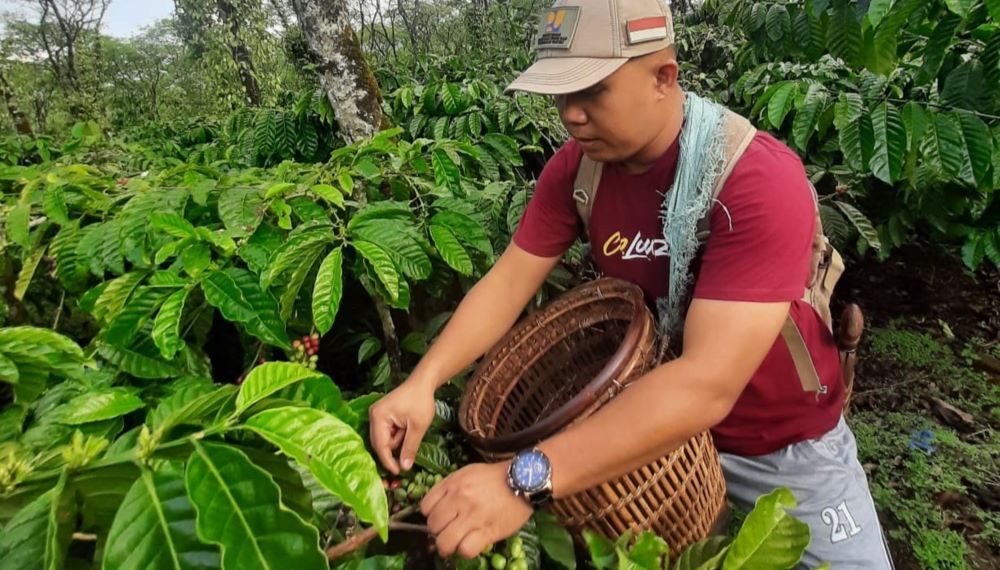 Sosok Deni Saputra yang Sukses Bisnis Kopi Berkat Rumah BUMN Baturaja