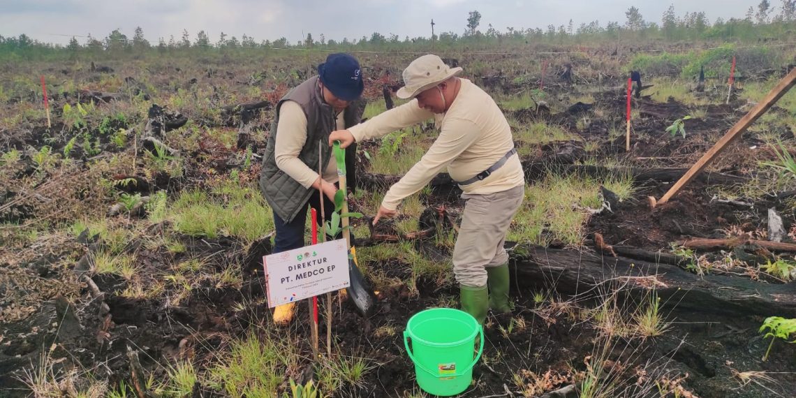 MedcoEnergi Tanam 1,39 juta Pohon di Sumsel