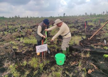 MedcoEnergi Tanam 1,39 juta Pohon di Sumsel