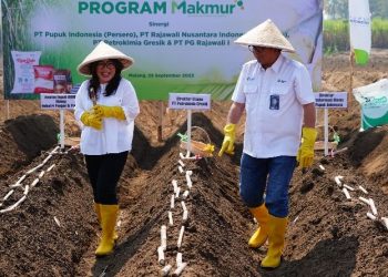 Petrokimia Gresik Perluas Jangkauan Program Makmur Jadi 132 Ribu Ha