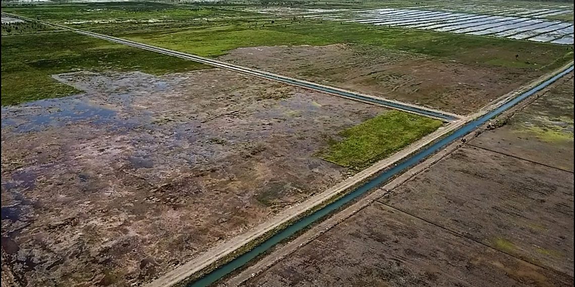 Kementan Mulai Garap Lahan Rawa Potensial Seluas 10 Juta Ha