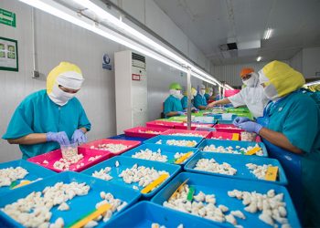 Miliki Sertifikat Ecolabel, Produk Udang PT BMI Tembus Pasar Ekspor