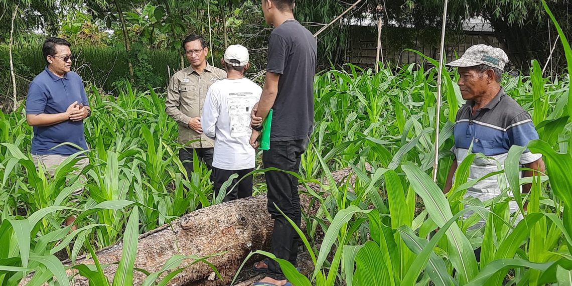 PEPC Kembangkan Sektor Pertanian Lokal via Pelatihan Pertanian Berkelanjutan