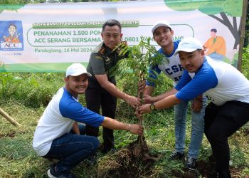 ACC dan Kodim 0601 Lakukan Penghijauan di Pandeglang