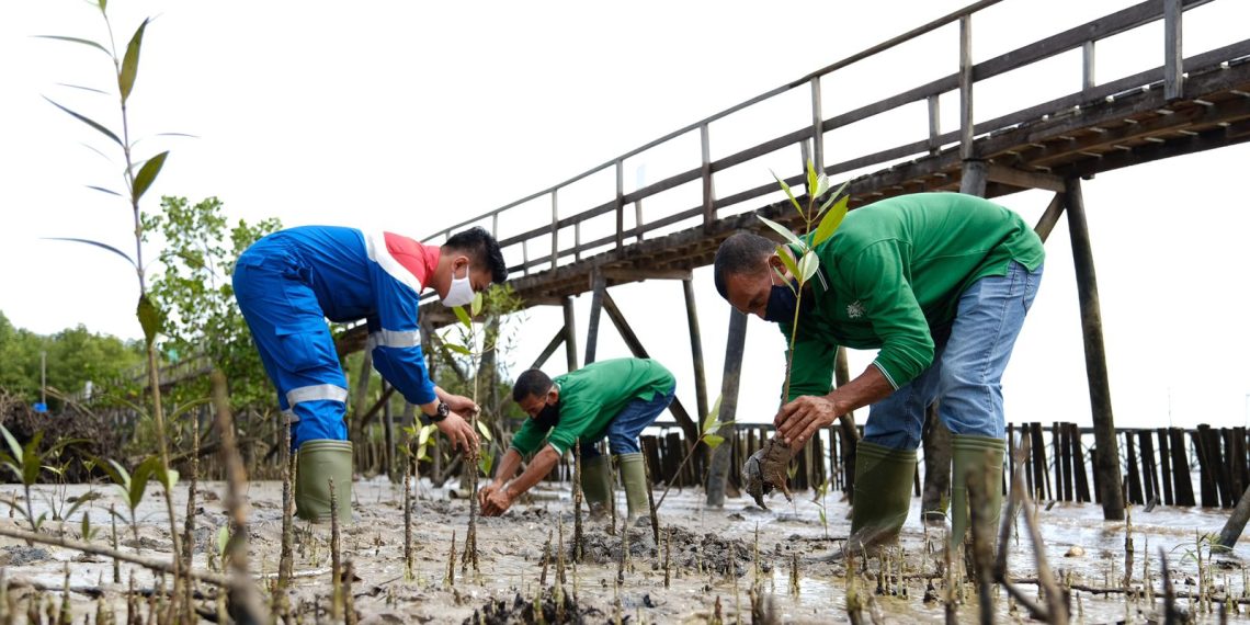 Permata Hijau Pesisir, Atasi Perubahan Iklim dan Dukung Dekarbonisasi Indonesia