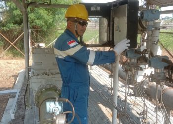 SKK Migas Tetapkan Standarisasi Pengukuran CO2 pada Program CCS/CCUS