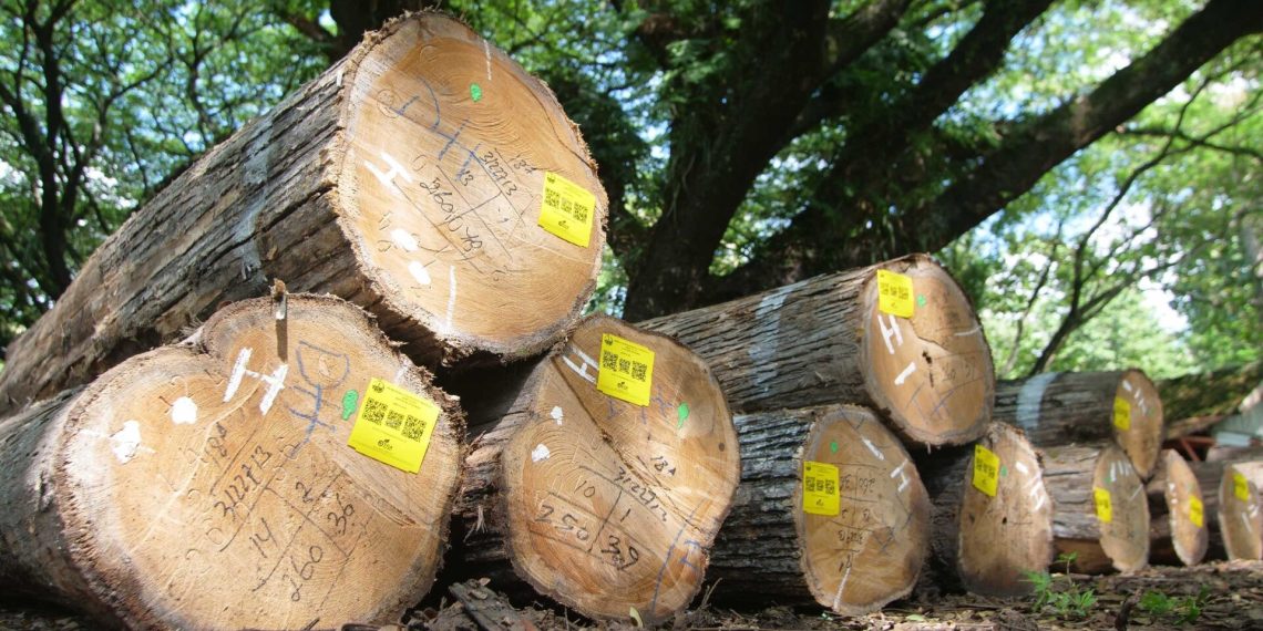 GRC plus IT Perum Perhutani Ciptakan Kinerja Bisnis nan Apik