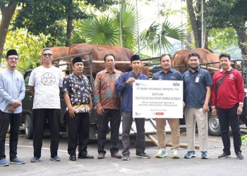 Idul Adha Tahun Ini, SIG Bagikan 331 Hewan Kurban di 23 Provinsi