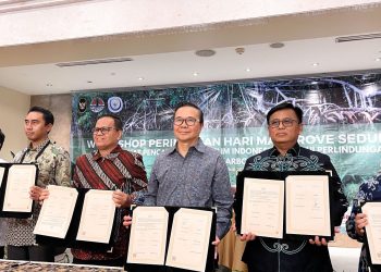 Harita Nickel Gandeng Kemenko Marves Dukung Rehabilitasi Lahan Mangrove