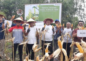 Sinergi PEPC dan Perhutani Tingkatkan Kualitas Pertanian