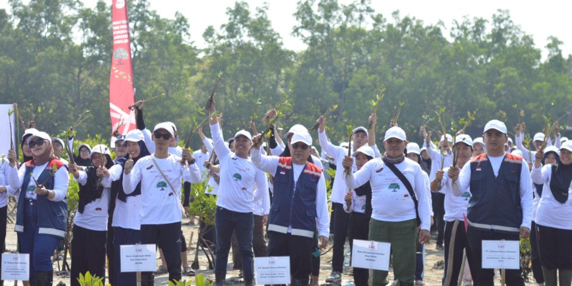 Hutama Karya Rehabilitasi Pesisir Pantai Jenggalu