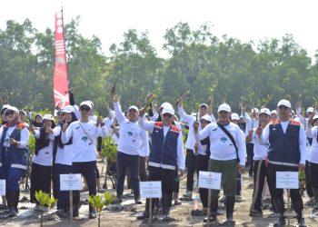 Hutama Karya Rehabilitasi Pesisir Pantai Jenggalu