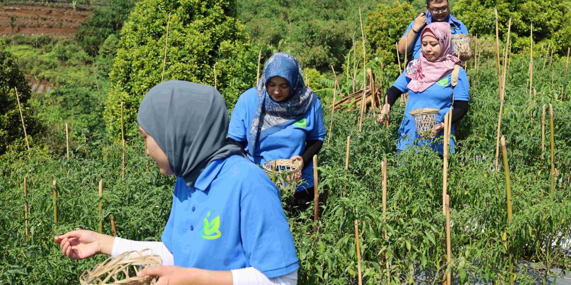 Desa Sejahtera Astra, Bawa Pulang Pengalaman Pedesaan Bersama FIFGROUP