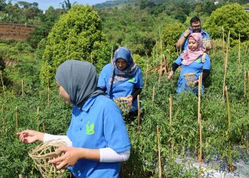 Desa Sejahtera Astra, Bawa Pulang Pengalaman Pedesaan Bersama FIFGROUP