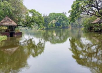 Bawa Konsep Baru, Solo Safari Kini Jadi Family Zoo