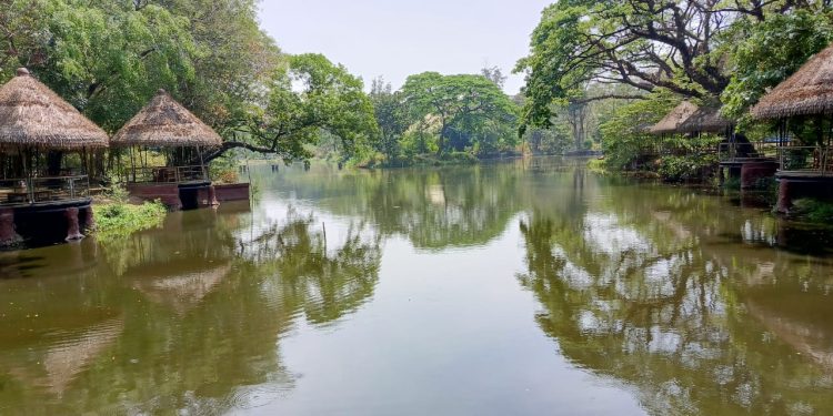 Bawa Konsep Baru, Solo Safari Kini Jadi Family Zoo