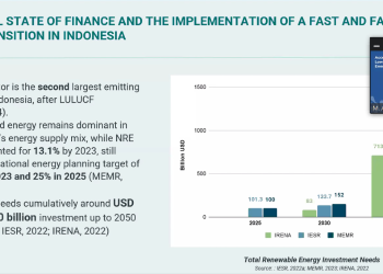 Ulas Efektivitas Alokasi APBN untuk Transisi Energi