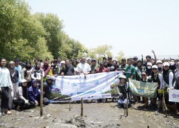 Strategi Lestarikan Hutan Mangrove dengan Kawasan Ekowisata