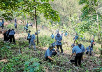TÜV Rheinland Indonesia dan Perhutani Tanam 200 Pohon untuk Masa Depan Berkelanjutan