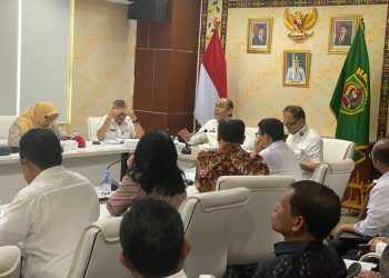 Pemerintah Provinsi Maluku, SKK Migas dan INPEX Perkuat Kolaborasi untuk Proyek LNG Abadi