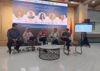 Rekomendasi Kebijakan Energi untuk Pemerintahan Kabinet Merah Putih