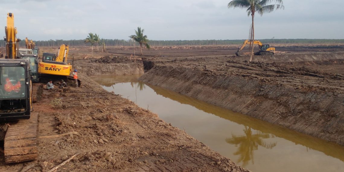 Selain Merauke, Pemerintah Intensifkan Cetak Sawah di Kalteng dan Kalsel