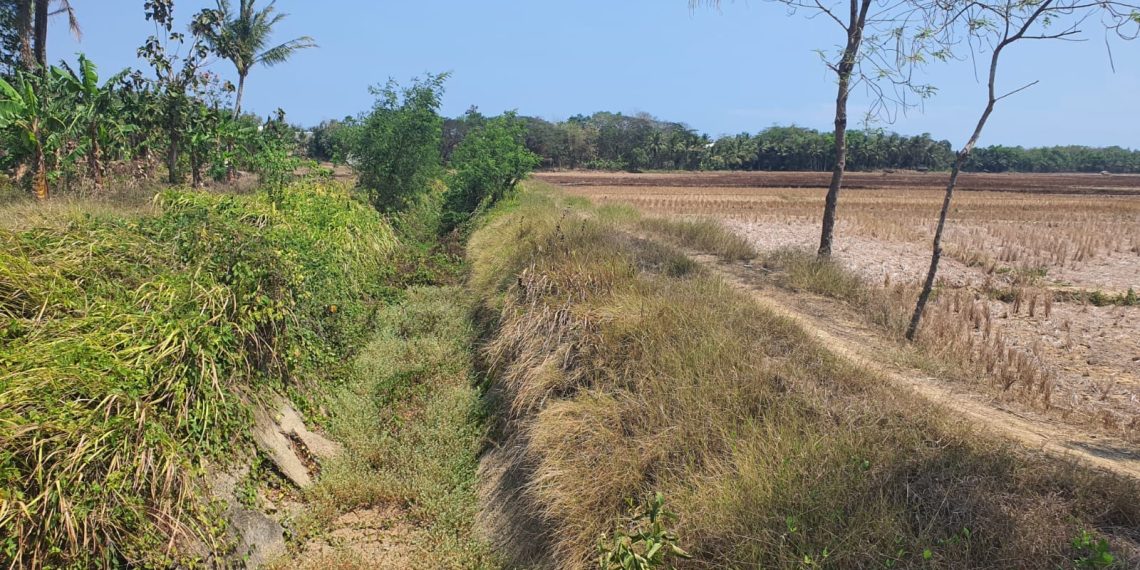Kementerian PU Mulai Rehabilitasi Daerah Irigasi Cibaliung, Tingkatkan Produktivitas Pertanian di Pandeglang Banten