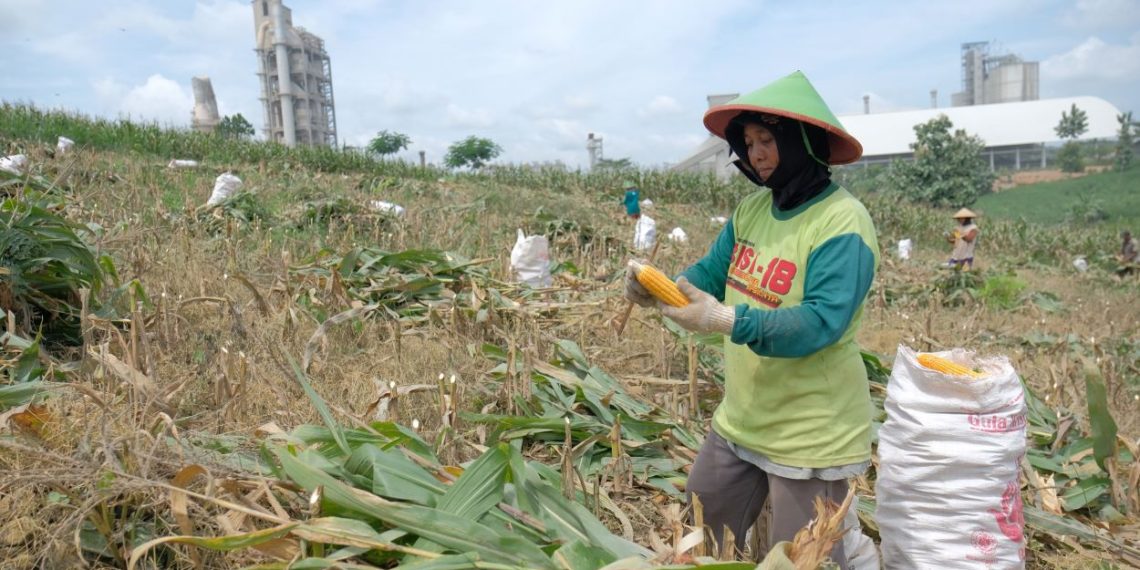 Melalui Program ’Semen Gresik Sahabat Petani’, SIG Genjot Kesejahteraan Petani di Rembang