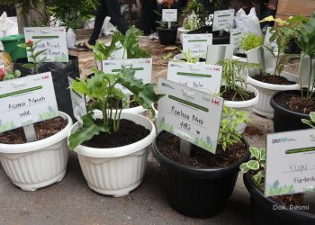 Lanjutkan Program Urban Habitsphere, Hutama Karya Fokus Tahap Tumbuh