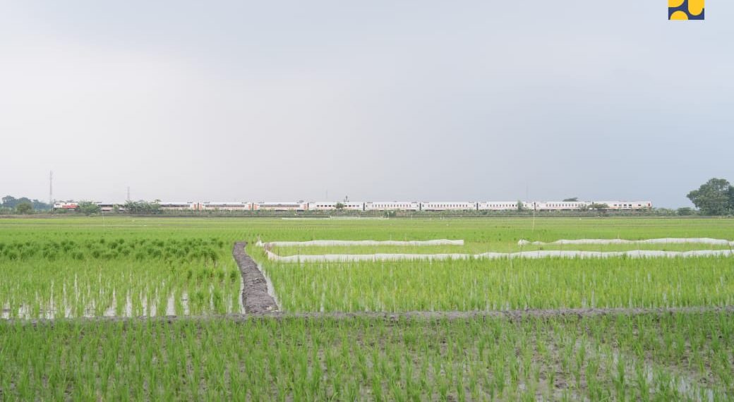 Menteri Dody Tinjau Penerapan IPHA di D.I Rentang, Metode Budidaya Padi Hemat Air