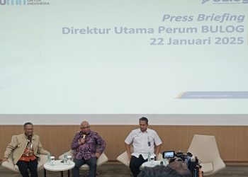 Target Penyerapan Beras Ditambah Jadi 3 Juta Ton, Bulog Minta Anggaran Rp 57 Triliun