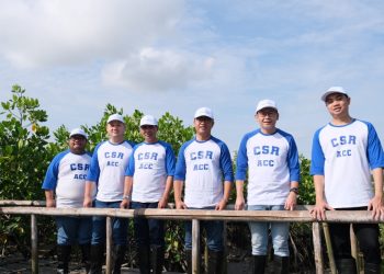 Dukung Keberlanjutan, ACC Tanam Mangrove di Bali