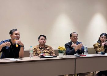 Menarik Peluang Investasi Transisi Energi Melalui  333 GW Potensi Proyek Energi Terbarukan Layak Finansial