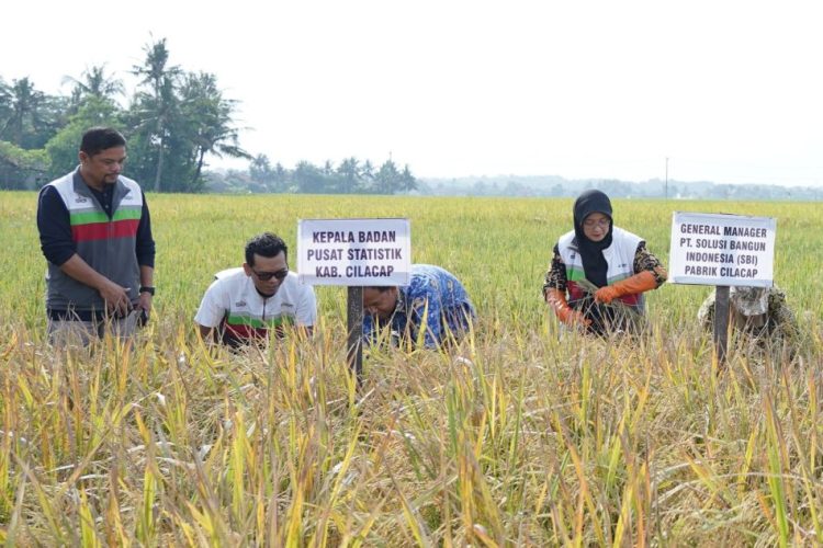 Uji Coba Padi Biosalin Berhasil, SIG dan Pemkab Cilacap Dorong Pertanian Berkelanjutan