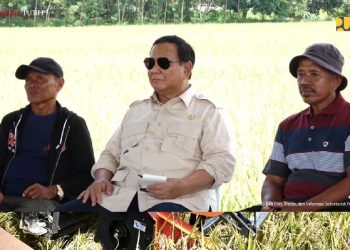 Dukung Swasembada Pangan, Menteri Dody Dampingi Presiden Prabowo Panen Raya Bersama Petani di Majalengka