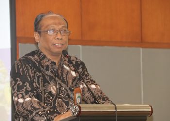 Dorong Daya Saing, BSN Permudah Sertifikasi bagi UMK