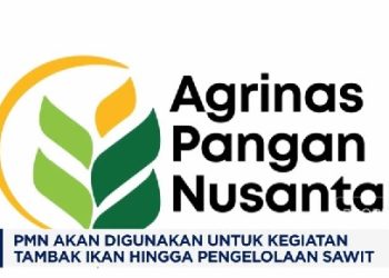 Agrinas Pangan Bakal Kelola 425 Ribu Ha Lahan Food Estate Akhir Tahun Ini