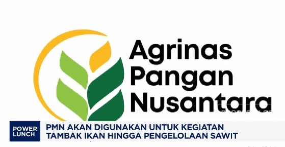 Agrinas Pangan Bakal Kelola 425 Ribu Ha Lahan Food Estate Akhir Tahun Ini