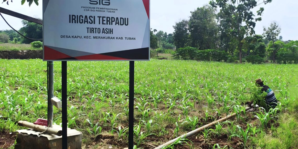 Bantuan Irigasi SIG Genjot Produktivitas Pertanian di Tuban, Panen Sampai Empat Kali