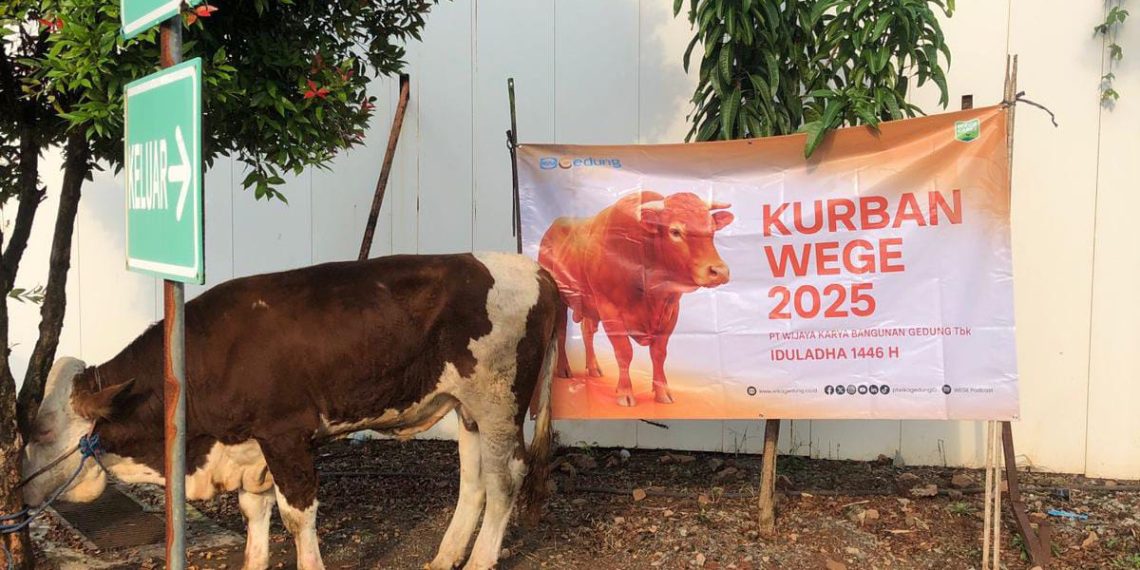 Gelar CSR, WEGE Bantu Korban Kebakaran di Kapuk Muara dan Distribusikan Kurban Idul Adha