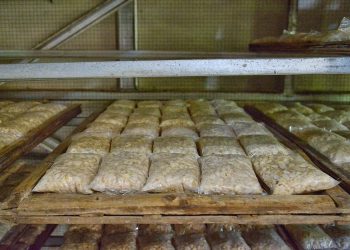Strategi PDC Mendorong Pengembangan Usaha Ekonomi Produktif Pesantren