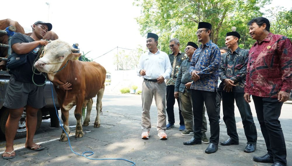 Selama Lebaran Idul Adha Ini, SIG Bagikan 237 Hewan Kurban di 20 Provinsi
