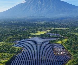 MedcoEnergi Mulai Operasikan Pembangkit Listrik Tenaga Surya 25MWp di Bali Timur